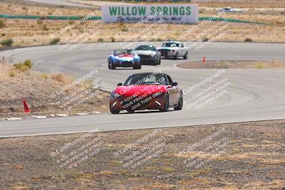 media/Oct-25-2025-West Coast Racing (Sat) [[9fdcbcd09c]]/Yellow group/Turn 4/